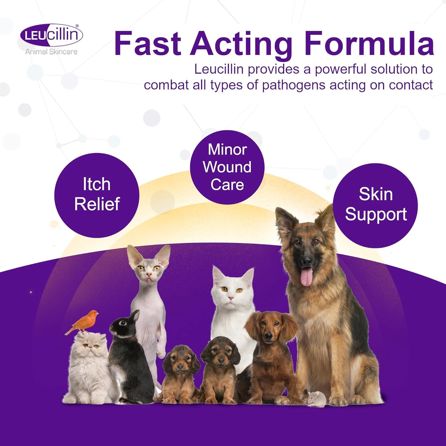 Leucillin Natural Antiseptic Spray - Antibacterial Antifungal Antiviral for Dogs Cats All Animals Itchy Skin Minor Wound Care and Skin Health | 150ml