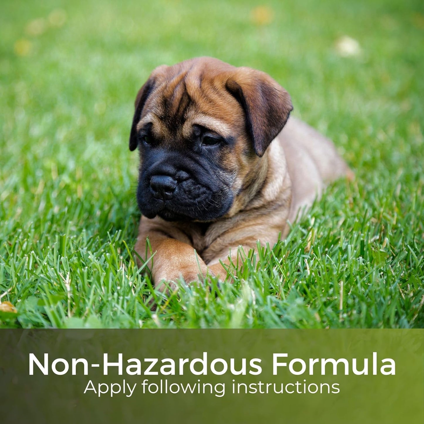 Dark Green Lawn Feed – High Nitrogen Formula for Lush Grass – Feeds for up to 90 Days – Child & Pet Safe – Garden Lawncare Guy
