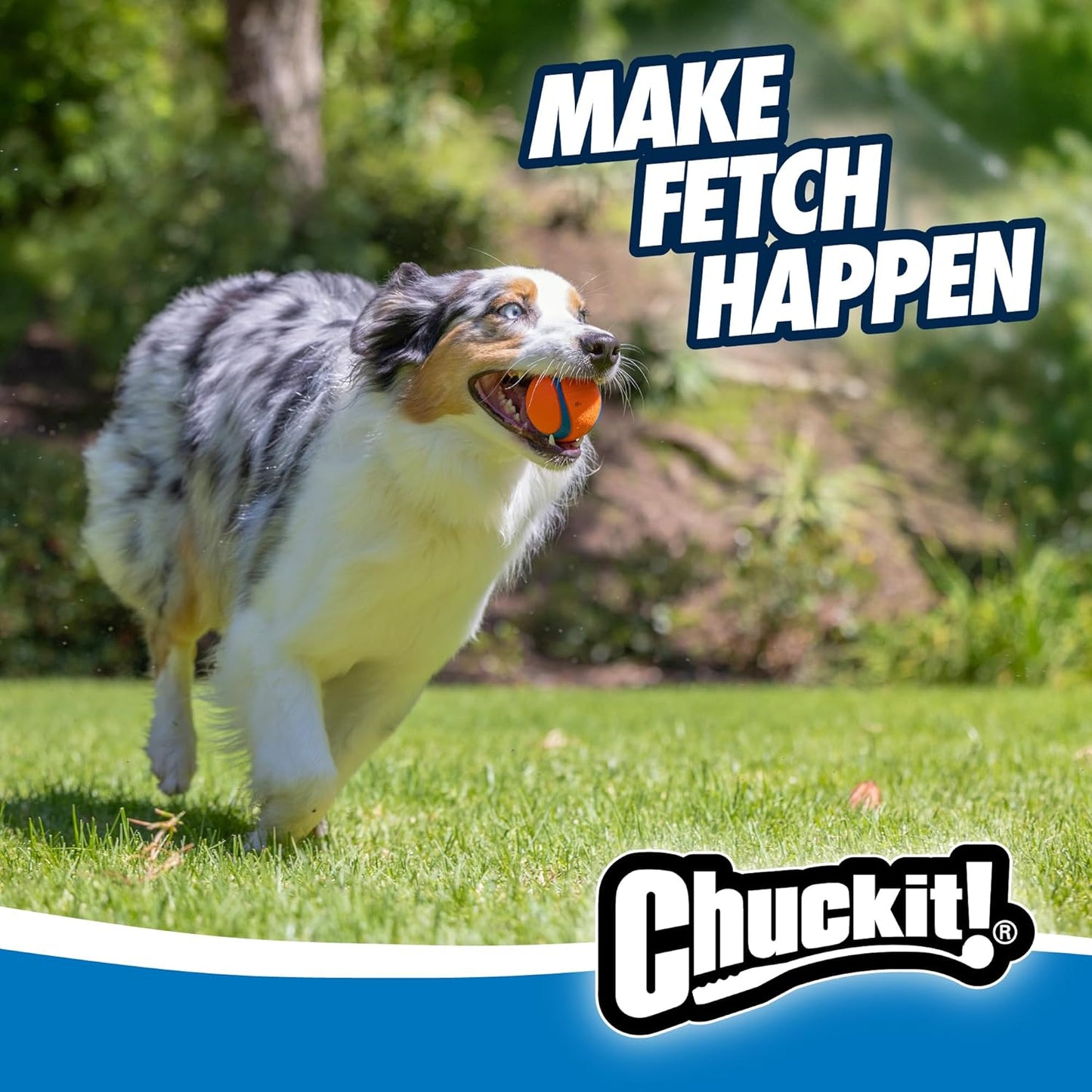ChuckIt! Ultra Ball Dog Toy, Durable High Bounce Floating Rubber Dog Ball, Launcher Compatible Toy For Dogs, 2 Pack, Medium