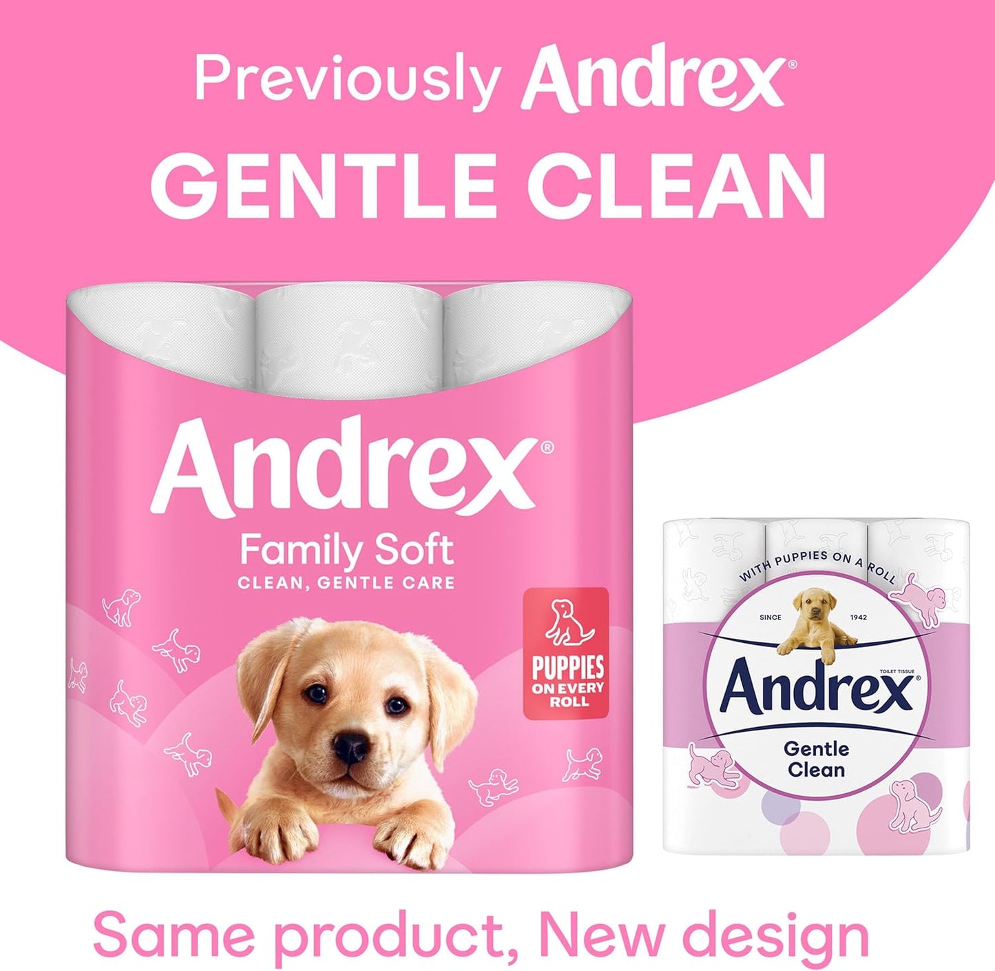 Andrex Family Soft Toilet Paper 24 Rolls (Previously Andrex Gentle Clean) Gentle on your Family’s skin– Pack of 24 Toilet Rolls, 170 sheets Per Roll, FSC Certified