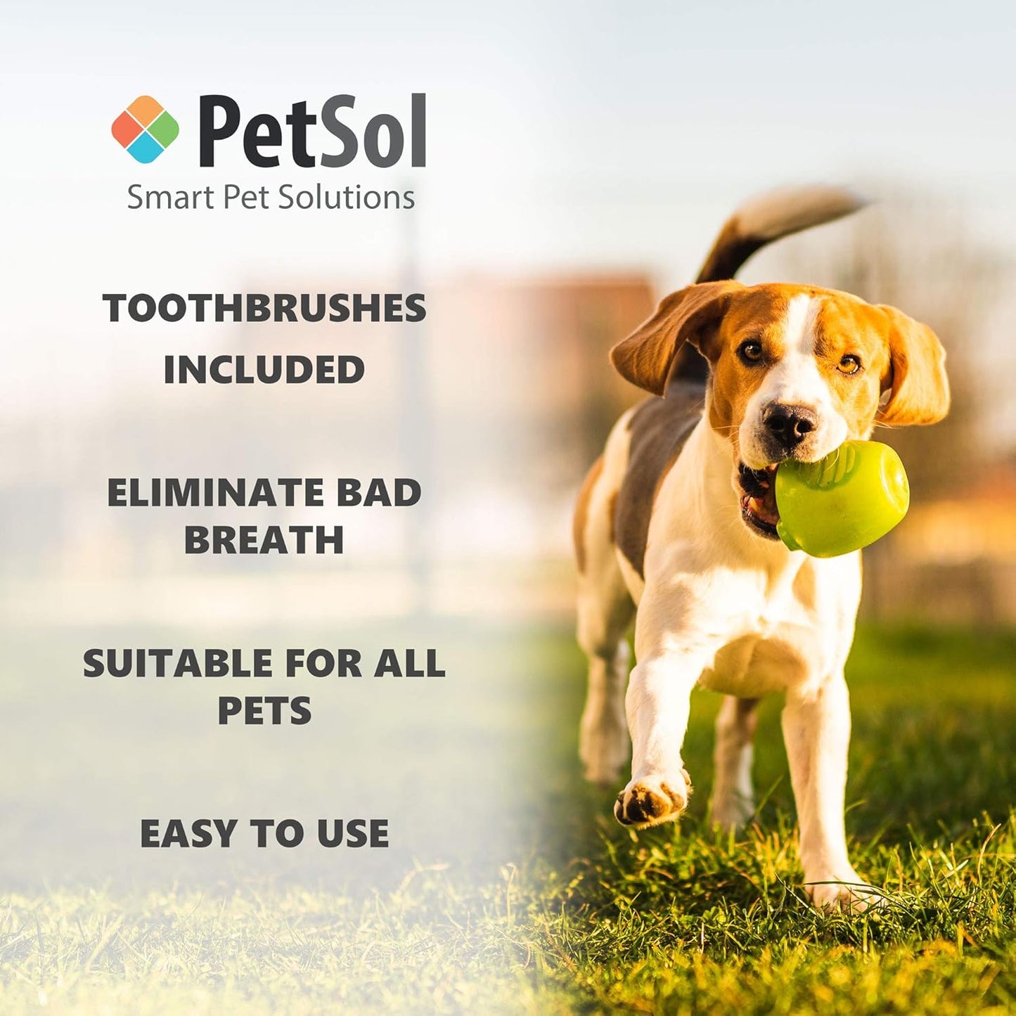 PetSol Dental Care Kit for Dogs & Cats Toothpaste (100g) with 3 x Toothbrushes to Clean Pet's Teeth, Remove Plaque and Tartar, Improve Gum and Tooth Health & Pet Oral Hygiene