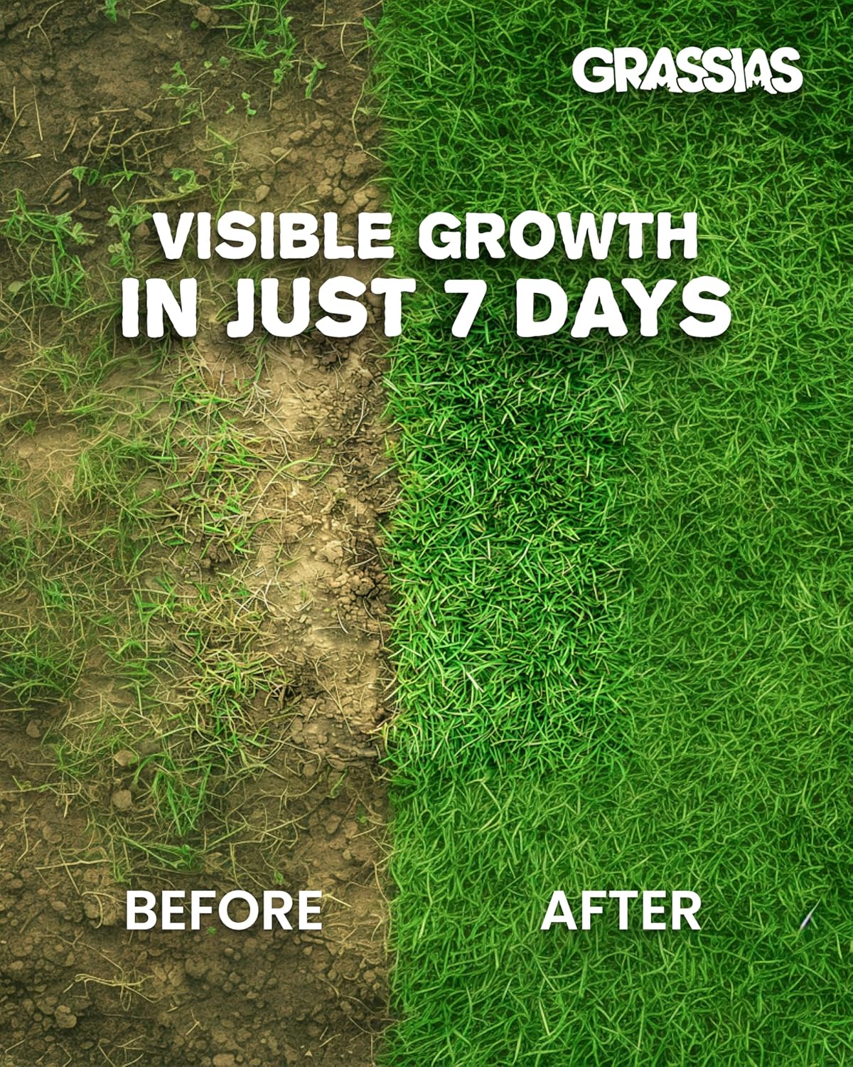 Grassias Fast Growing Grass Seed – 1.70KG Premium Quality Lawn Seed for Overseeding & New Lawns – Hard Wearing & Pet Friendly - Perfect for UK Lawns - Winter & Defra Approved