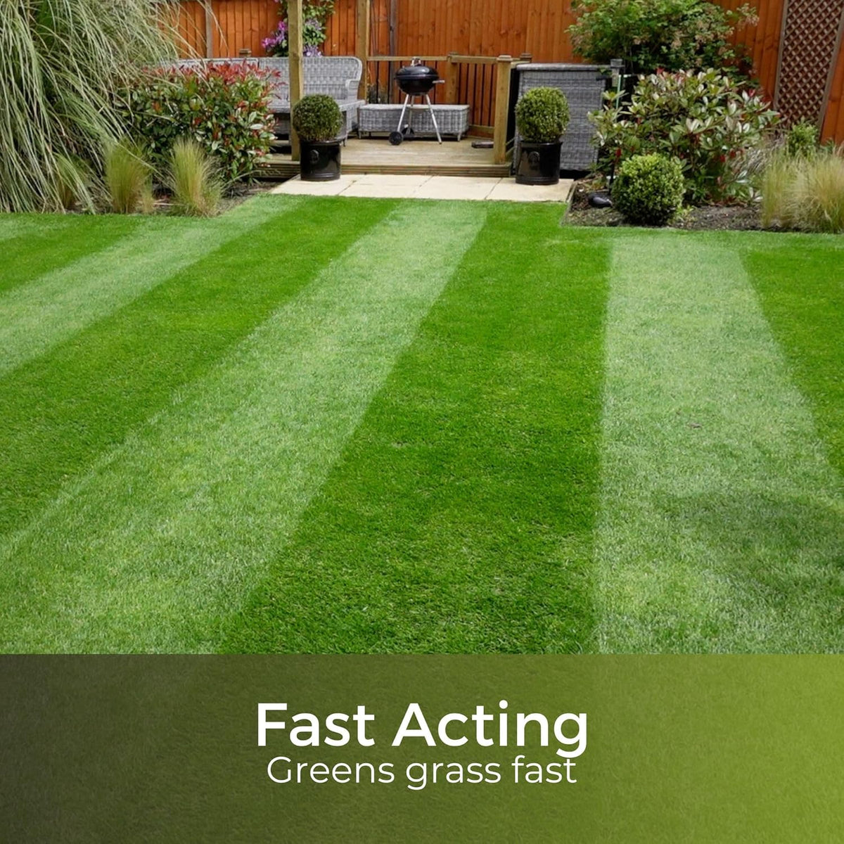 Dark Green Lawn Feed