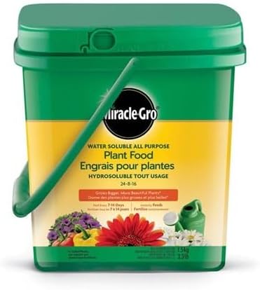 Miracle-Gro All Purpose Plant Food