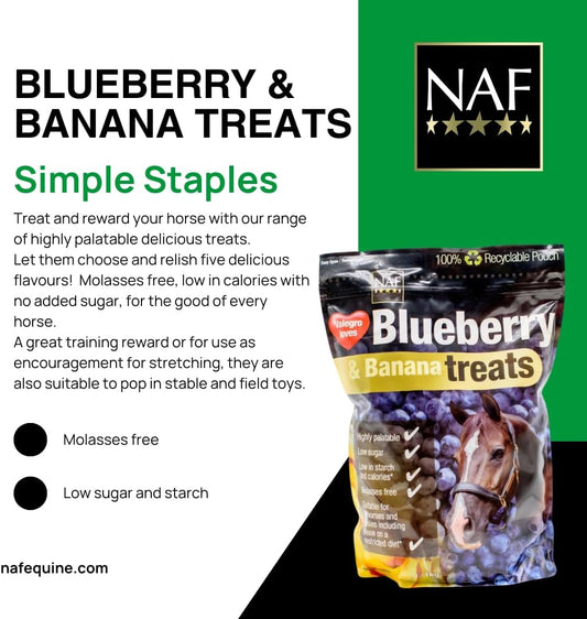 NAF Blueberry & Banana Horse Treats