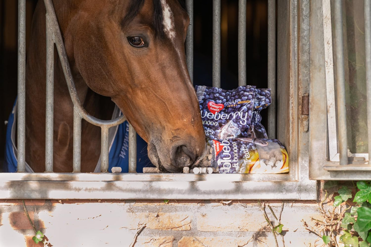 NAF Blueberry & Banana Horse Treats