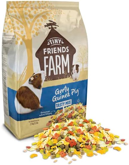 Supreme Gerty Tasty Nuggets for Guinea Pigs